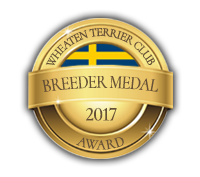 Breeder medal 2017 - Irish Softcoated Wheaten Terrier Club of Sweden