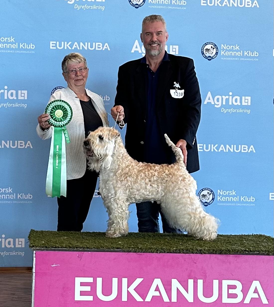 Wheaten terrier kennel sales club